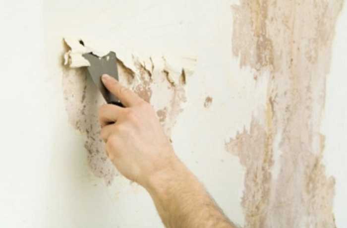 خطوات فعالة للتخص من الرطوبة في المنزل والجدران والاسقف